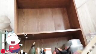 Funny Animal Videos 2023 5