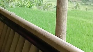 Sawah 2