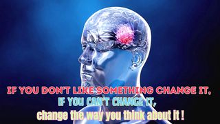 QUOTES brainy life