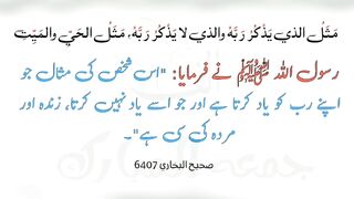 میری جَانب بھی ہو اِک نگاہِ کرم،اے شفیع الواریٰﷺ، خاتم الانبیاءﷺ 3