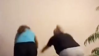 Wee videos 37