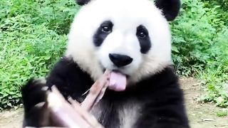 Eating really seriously