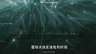 The Final Battle of Harry Potter