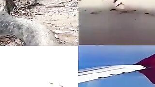 Watch Unbelievable creators