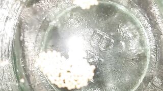 Fish video, Short 2023