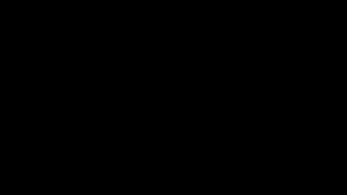 Tekken 8 Bran Fury