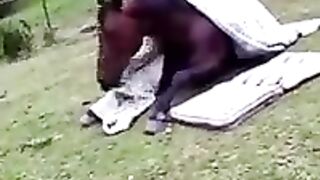 funny shots from the life of animals 5