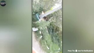 FUNNIEST PAPA KI PARI CAUGHT ON CAM 1