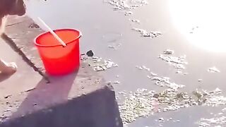 funny animal footage 10