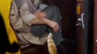 KOTKI  I HORА