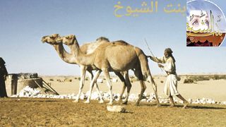 قصة وقصيدة ساجر الرفدي