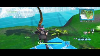 game fortnite