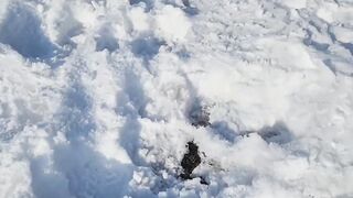 5 МИНУТ НАЗАД!!! СЕГОДНЯ РОССИИ... ЭКСТРЕННО.