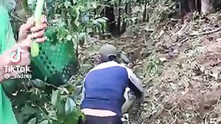 Sesuai yang di harapkan penonton????