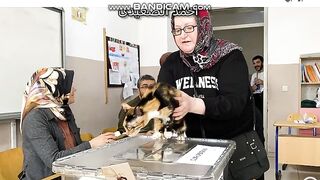 انتخابات تركيا الان "القطة الناخبة" تخطف الأنظار.. مشاهد فريدة من انتخابات تركيا