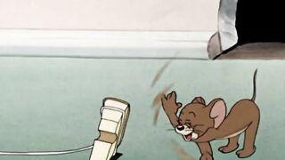 Tom and Jerry cartoon 5