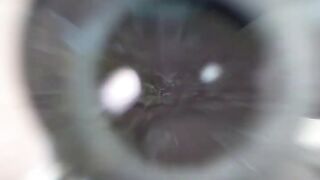 Canned Tuna Under The Microscope