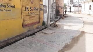Fake Small Gorilla vs Dog Prank Scary Funny Doggys TRY TO NOT LAUGH Raipuriya Pranker