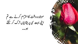 Best urdu Quotes #urduquotes 3