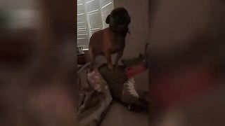 Funny video