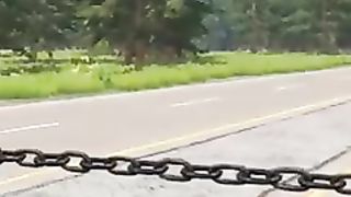 #shorts #ytshorts #factodays Cars ???? Vs Strong Chain ????.