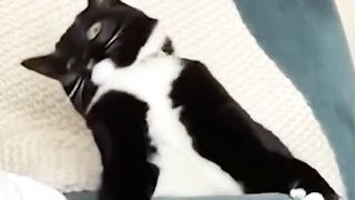 The daily routine of a cute baby
