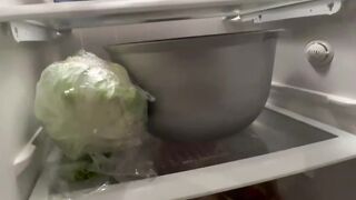 Funny video inside fridge put Bowl and plate then what happened