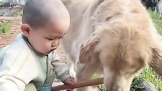Cute baby boy and favoritte animal . A beautiful moment #shorts. #shorts.