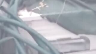 Армія руснявих мародерів при втечі полишила награбоване майно українців