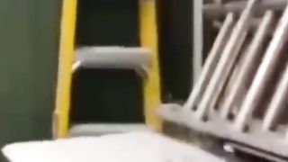A new video very funny videos of comedy cats and dogs and cats are very funny videos