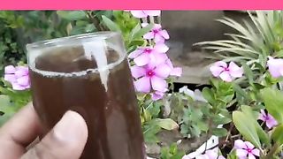 Gardening booster fertilizer in making at home