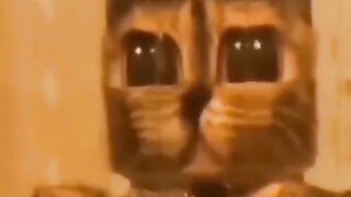 Very funny videos comedy videos full funny videos cats and dogs videos amazing videos