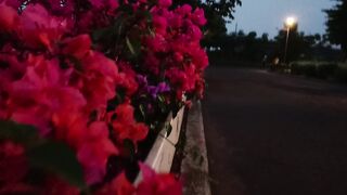 Meikarta road
