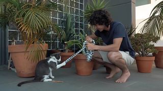 Cat video 13