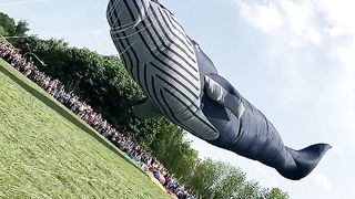 Huge air whale kite