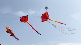 Large hovering kites