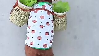 Hardworking and cute puppy . A beautiful moment#shorts.