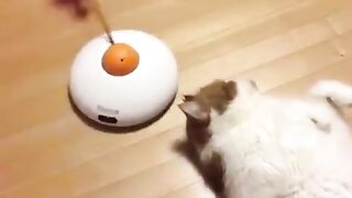 when you dont care about
