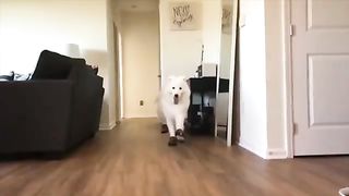 Look at my enchanting step