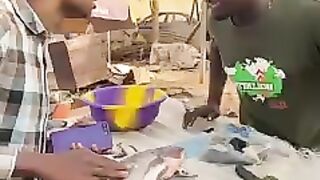 Incroyable acheteur chez un vendeur de poisson