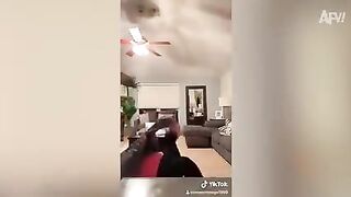 FUNNIEST TikTok Fails Laugh Fest!! ???????? Funny TikTok Compilation | AFV 2023