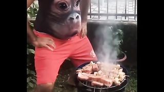 Un singe