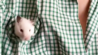 Little lovely rat in the pocket #motivation.