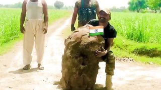 Pakistan Zindabad 3