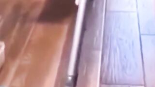 funny animals - funny cat behavior - don't watch it later laugh!!!