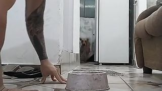 Veja a reação do meu cachorro