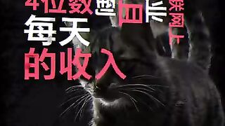创业最大的误区，就是单干。