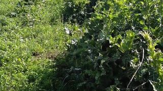 Beauty of Islamabad pakistan/Bhara kahu Islamabad/sohailT22vlog