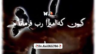 Shair 5