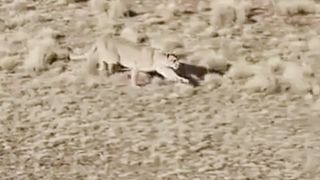 Best awesome amazing  video